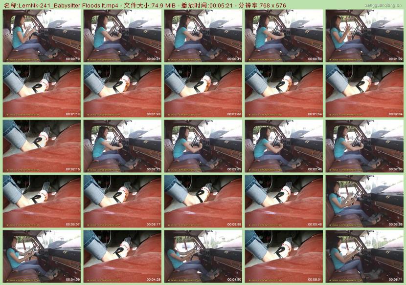 LemNk-241_Babysitter Floods It